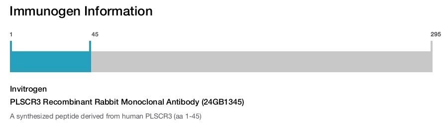 PLSCR3 Recombinant Rabbit Monoclonal Antibody (24GB1345)