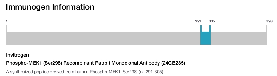 Phospho-MEK1 (Ser298) Recombinant Rabbit Monoclonal Antibody (24GB285)