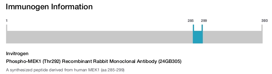 Phospho-MEK1 (Thr292) Recombinant Rabbit Monoclonal Antibody (24GB305)