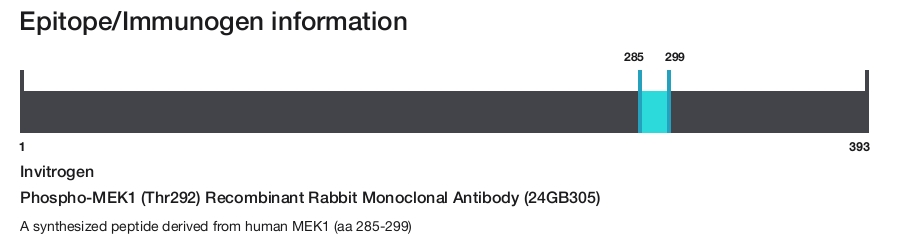 Phospho-MEK1 (Thr292) Recombinant Rabbit Monoclonal Antibody (24GB305)