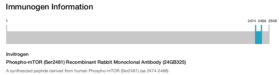 Phospho-mTOR (Ser2481) Recombinant Rabbit Monoclonal Antibody (24GB325)