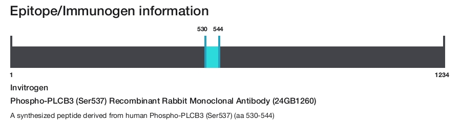 Phospho-PLCB3 (Ser537) Recombinant Rabbit Monoclonal Antibody (24GB1260)