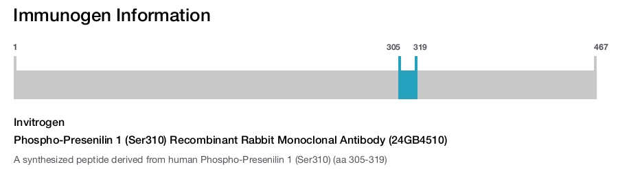 Phospho-Presenilin 1 (Ser310) Recombinant Rabbit Monoclonal Antibody (24GB4510)