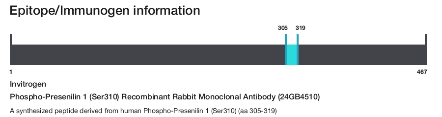 Phospho-Presenilin 1 (Ser310) Recombinant Rabbit Monoclonal Antibody (24GB4510)