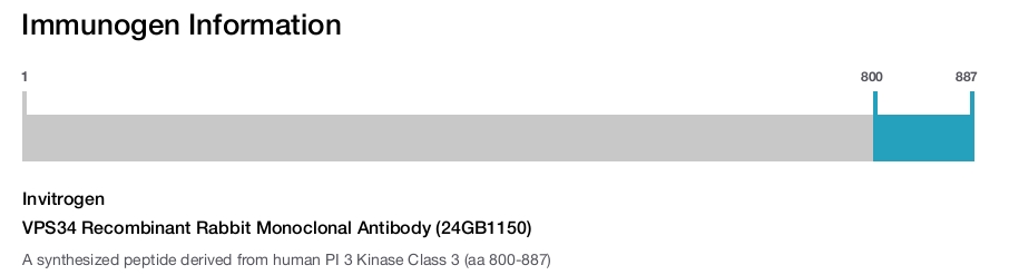 VPS34 Recombinant Rabbit Monoclonal Antibody (24GB1150)