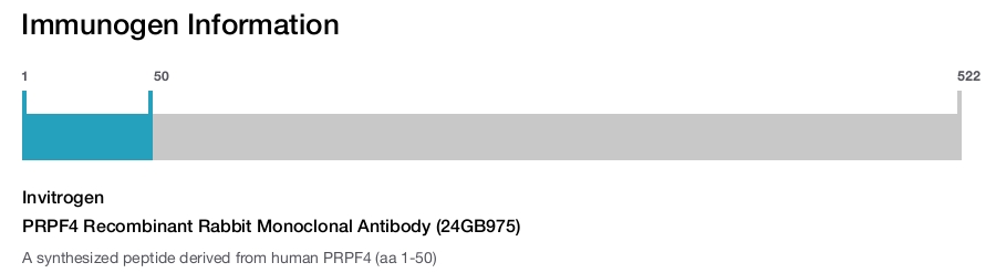 PRPF4 Recombinant Rabbit Monoclonal Antibody (24GB975)