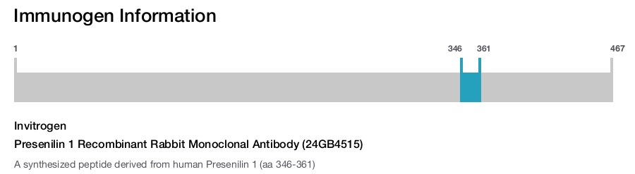 Presenilin 1 Recombinant Rabbit Monoclonal Antibody (24GB4515)
