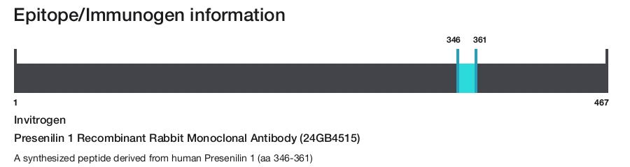 Presenilin 1 Recombinant Rabbit Monoclonal Antibody (24GB4515)