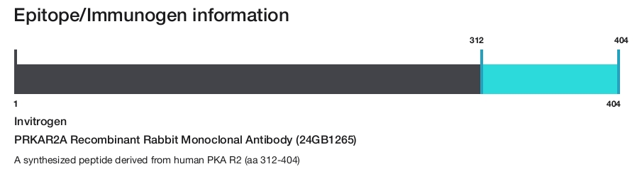 PRKAR2A Recombinant Rabbit Monoclonal Antibody (24GB1265)