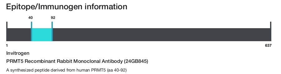 PRMT5 Recombinant Rabbit Monoclonal Antibody (24GB845)
