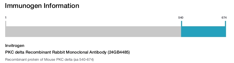 PKC delta Recombinant Rabbit Monoclonal Antibody (24GB4485)