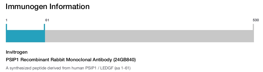 PSIP1 Recombinant Rabbit Monoclonal Antibody (24GB840)
