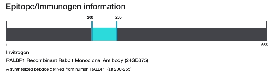 RALBP1 Recombinant Rabbit Monoclonal Antibody (24GB875)