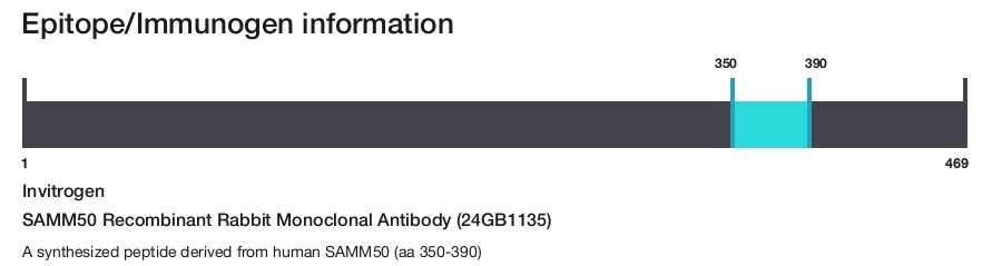 SAMM50 Recombinant Rabbit Monoclonal Antibody (24GB1135)