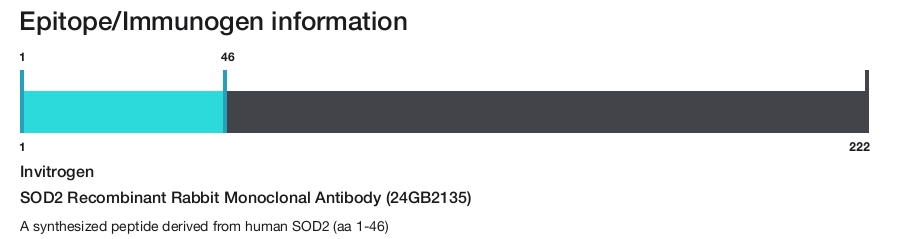 SOD2 Recombinant Rabbit Monoclonal Antibody (24GB2135)