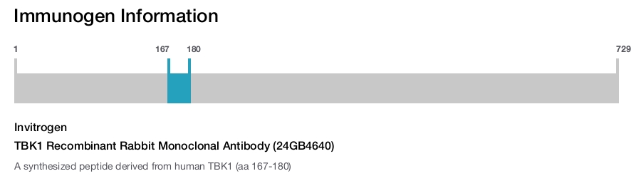 TBK1 Recombinant Rabbit Monoclonal Antibody (24GB4640)