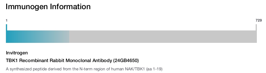 TBK1 Recombinant Rabbit Monoclonal Antibody (24GB4650)