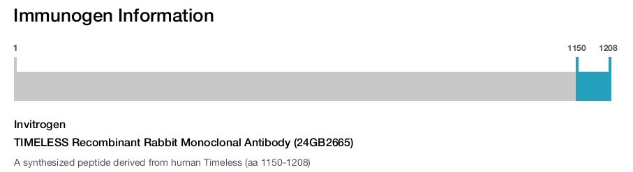 TIMELESS Recombinant Rabbit Monoclonal Antibody (24GB2665)
