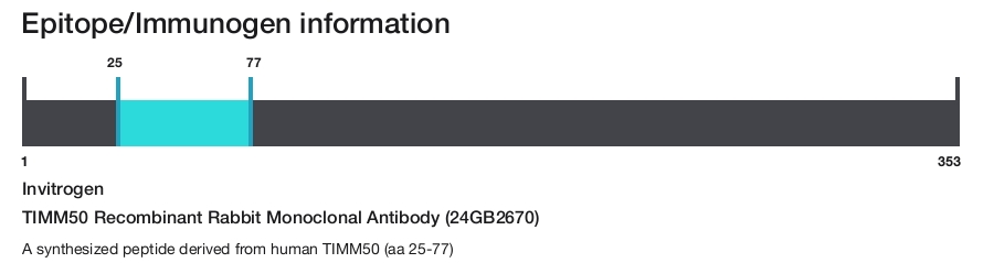 TIMM50 Recombinant Rabbit Monoclonal Antibody (24GB2670)