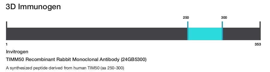 TIMM50 Recombinant Rabbit Monoclonal Antibody (24GB5300)