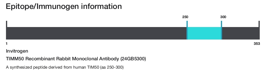 TIMM50 Recombinant Rabbit Monoclonal Antibody (24GB5300)