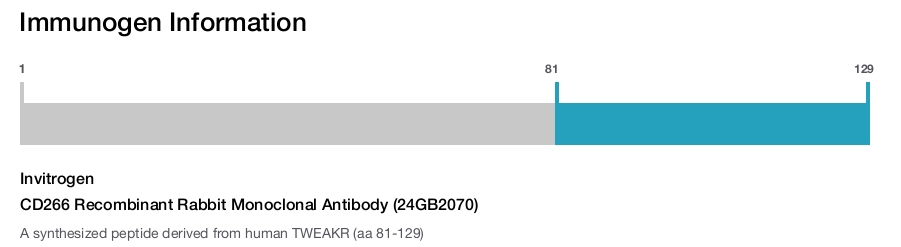 CD266 Recombinant Rabbit Monoclonal Antibody (24GB2070)