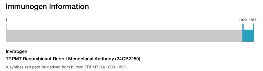 TRPM7 Recombinant Rabbit Monoclonal Antibody (24GB2250)