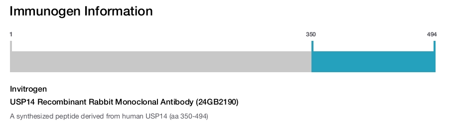 USP14 Recombinant Rabbit Monoclonal Antibody (24GB2190)