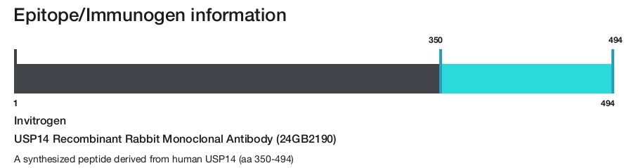 USP14 Recombinant Rabbit Monoclonal Antibody (24GB2190)
