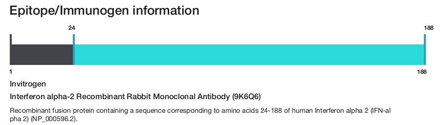Interferon alpha-2 Recombinant Rabbit Monoclonal Antibody (9K6Q6)
