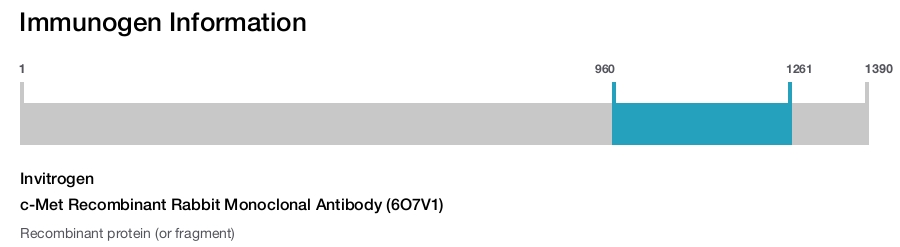 c-Met Recombinant Rabbit Monoclonal Antibody (6O7V1)