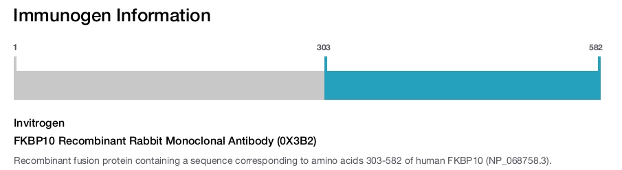 FKBP10 Recombinant Rabbit Monoclonal Antibody (0X3B2)