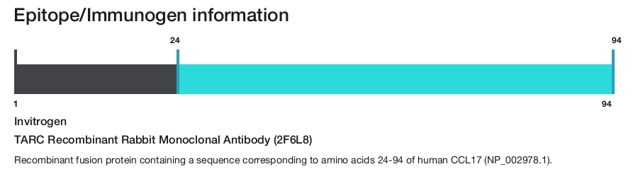 TARC Recombinant Rabbit Monoclonal Antibody (2F6L8)