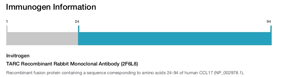 TARC Recombinant Rabbit Monoclonal Antibody (2F6L8)