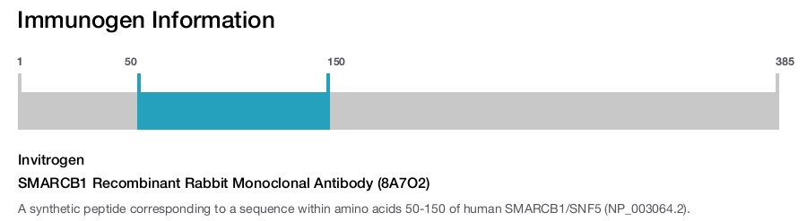 SMARCB1 Recombinant Rabbit Monoclonal Antibody (8A7O2)