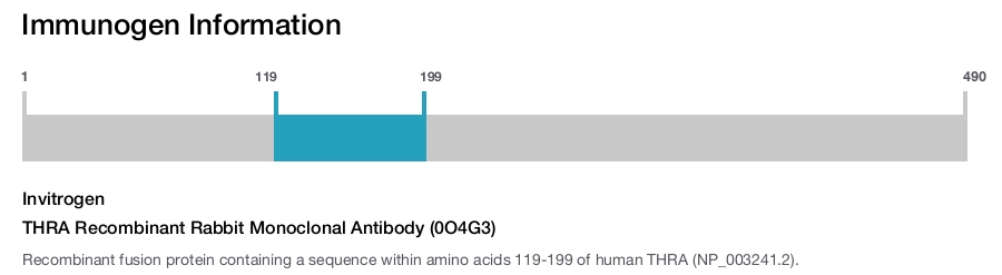 THRA Recombinant Rabbit Monoclonal Antibody (0O4G3)