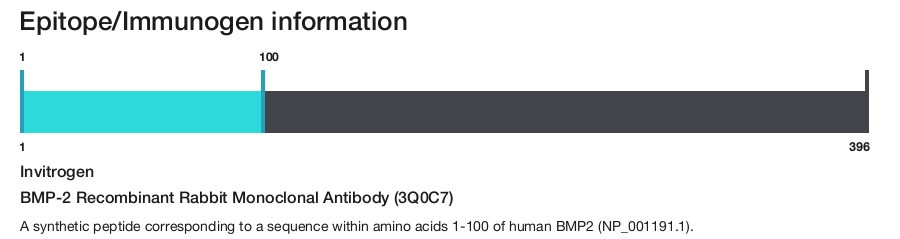 BMP-2 Recombinant Rabbit Monoclonal Antibody (3Q0C7)