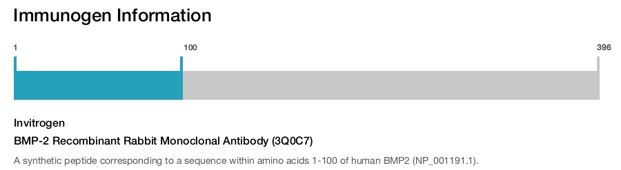 BMP-2 Recombinant Rabbit Monoclonal Antibody (3Q0C7)