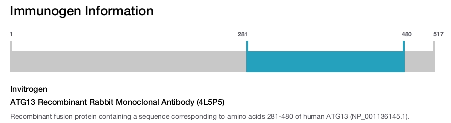 ATG13 Recombinant Rabbit Monoclonal Antibody (4L5P5)