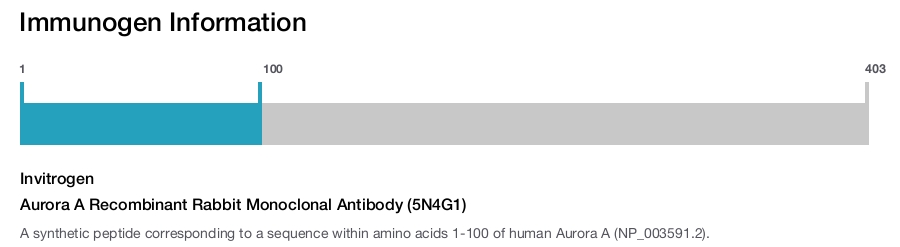 Aurora A Recombinant Rabbit Monoclonal Antibody (5N4G1)