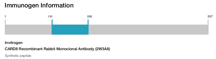 CARD8 Recombinant Rabbit Monoclonal Antibody (2W3A8)