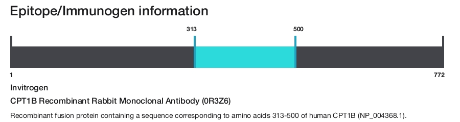 CPT1B Recombinant Rabbit Monoclonal Antibody (0R3Z6)