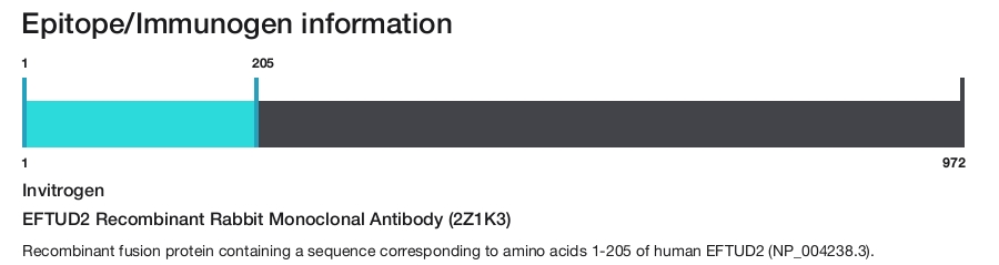 EFTUD2 Recombinant Rabbit Monoclonal Antibody (2Z1K3)