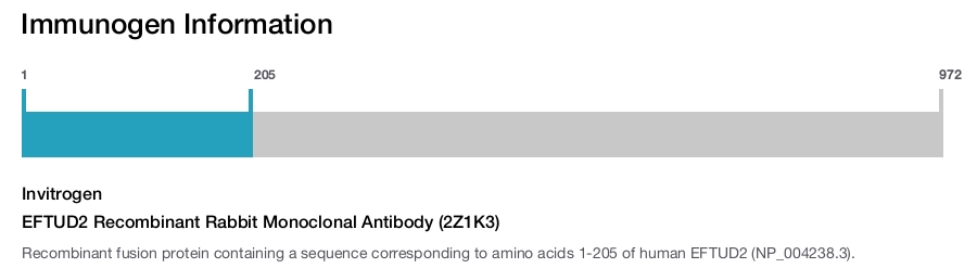 EFTUD2 Recombinant Rabbit Monoclonal Antibody (2Z1K3)