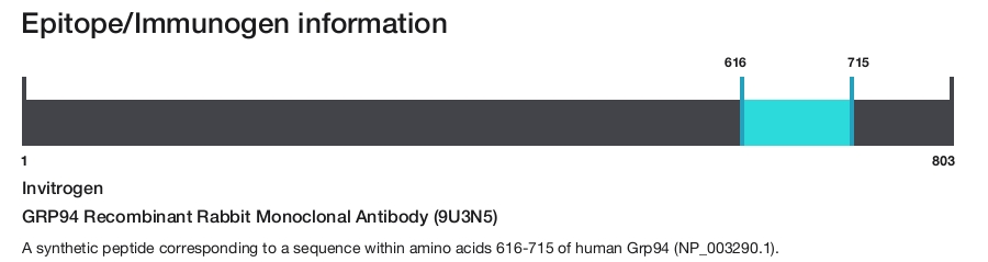 GRP94 Recombinant Rabbit Monoclonal Antibody (9U3N5)