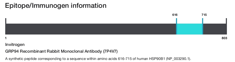 GRP94 Recombinant Rabbit Monoclonal Antibody (7P4V7)