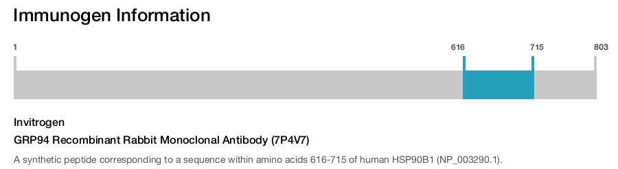 GRP94 Recombinant Rabbit Monoclonal Antibody (7P4V7)