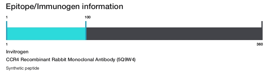CCR4 Recombinant Rabbit Monoclonal Antibody (5Q9W4)
