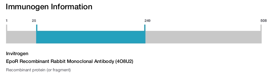 EpoR Recombinant Rabbit Monoclonal Antibody (4O8U2)