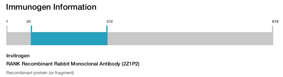 RANK Recombinant Rabbit Monoclonal Antibody (2Z1P2)